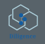 diligencedigital